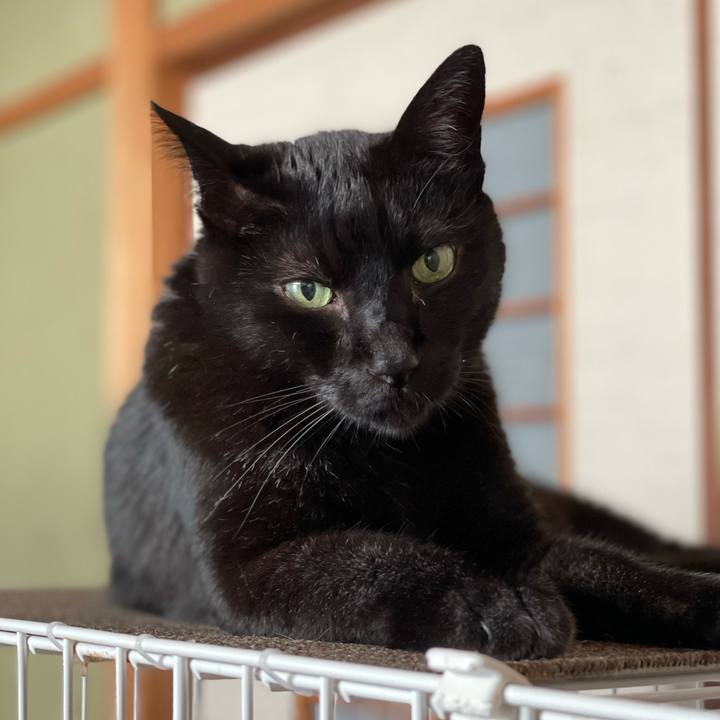 D60415cd 5d27 437d 9ba2 7656e0669a1c 1623551760770