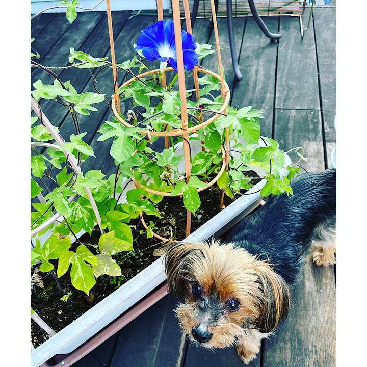 D6044740 049b 4d3b 87c0 dcbaf5948b77 1690320787223