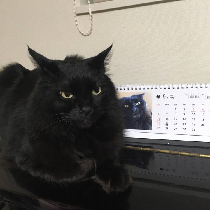 D60456f8 e9c8 4951 95eb 8d8869cb0414 1526655096410