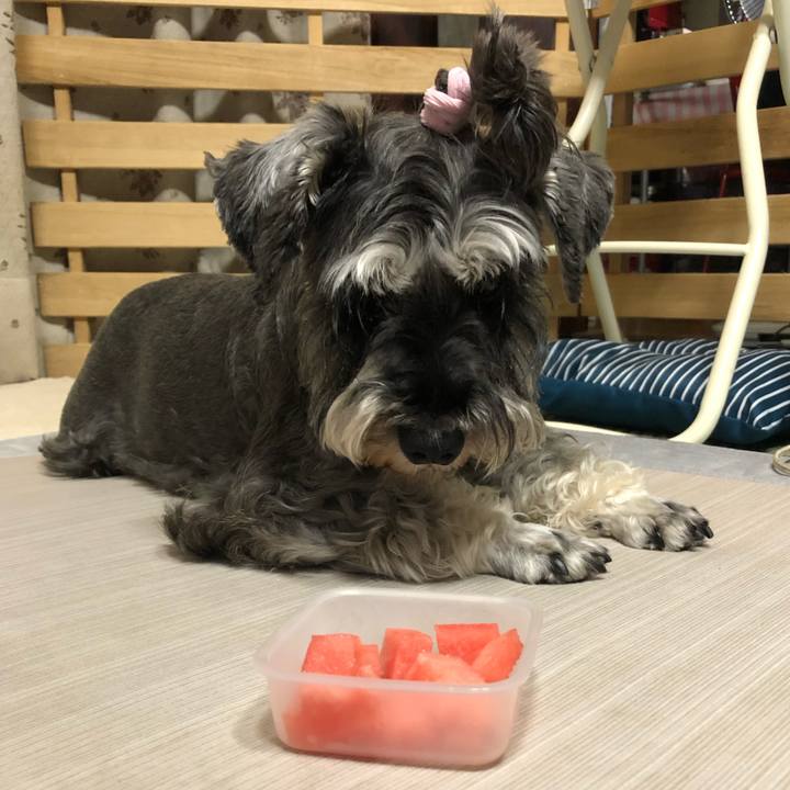 D604630e 6bb4 4890 a97f 73783e5755f7 1626090176746