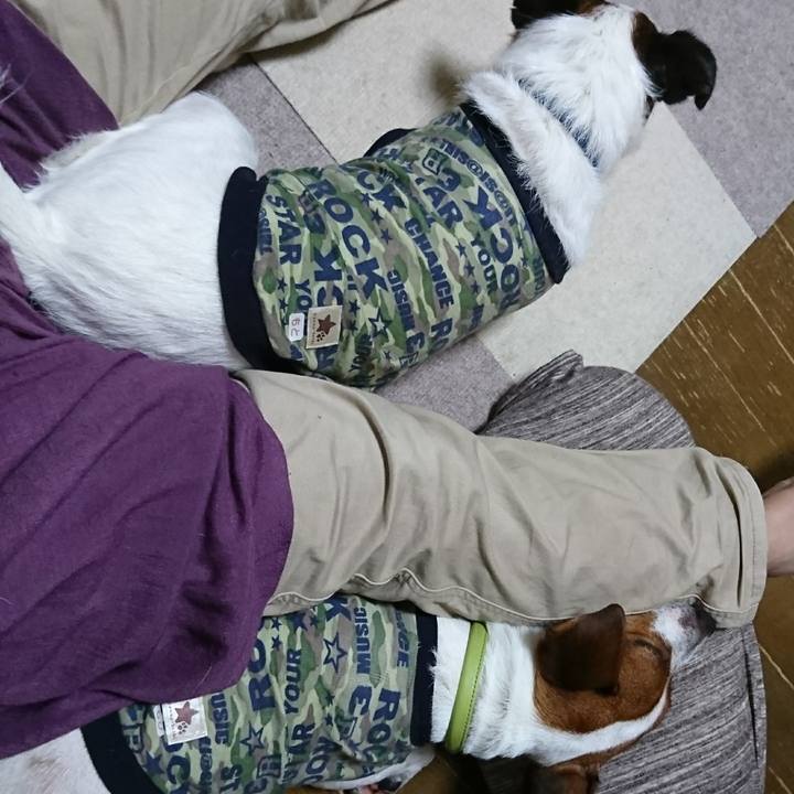 D60488e6 6514 4c93 b81b 3db59859c6cb 1594986299355