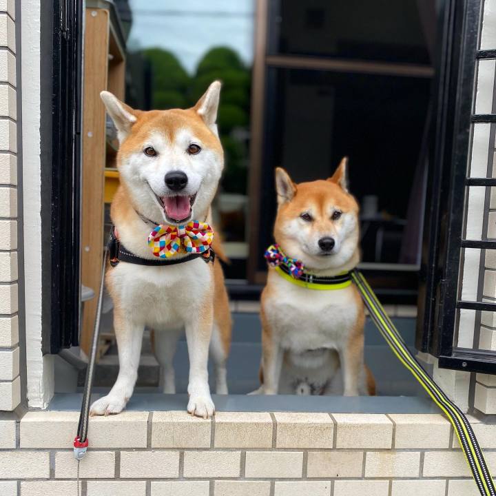 D6048bf1 5ab8 4407 9346 bf7f9e492057 1631932712798