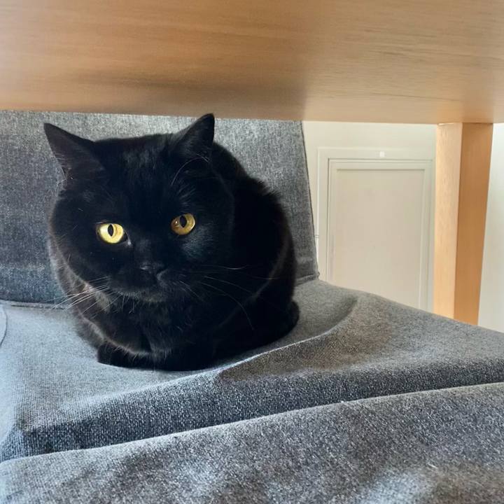 D604a76e 8ee7 44e5 8b93 94c09d1e7ac6 1746399342616