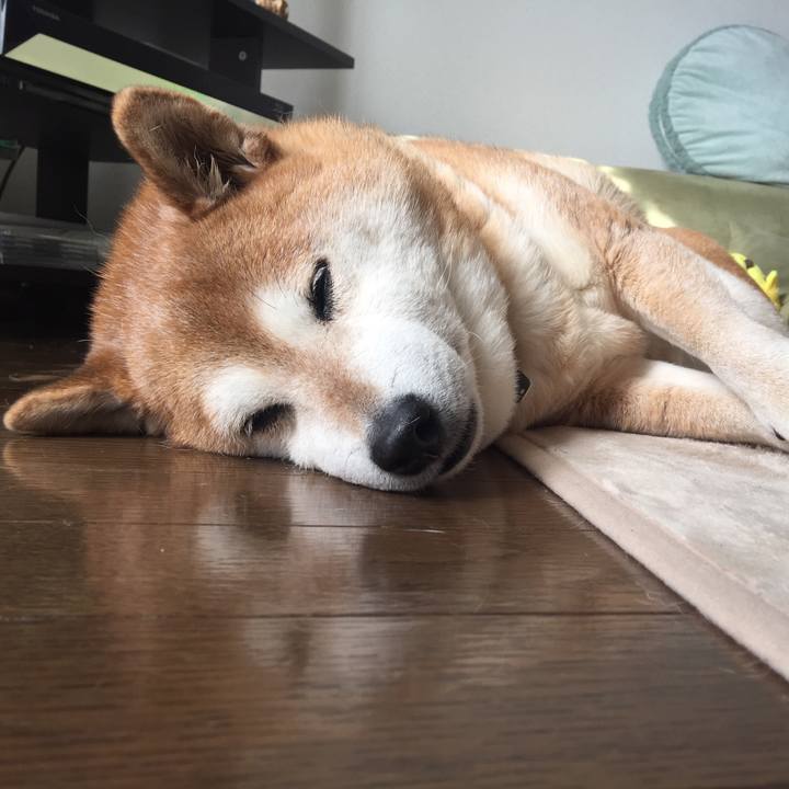 D604d345 43b3 47e3 ab8d d7c350df57c5 1519017323597