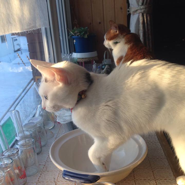 D604e1f8 f37b 4697 baf9 87b65d701ef3 1516487708460