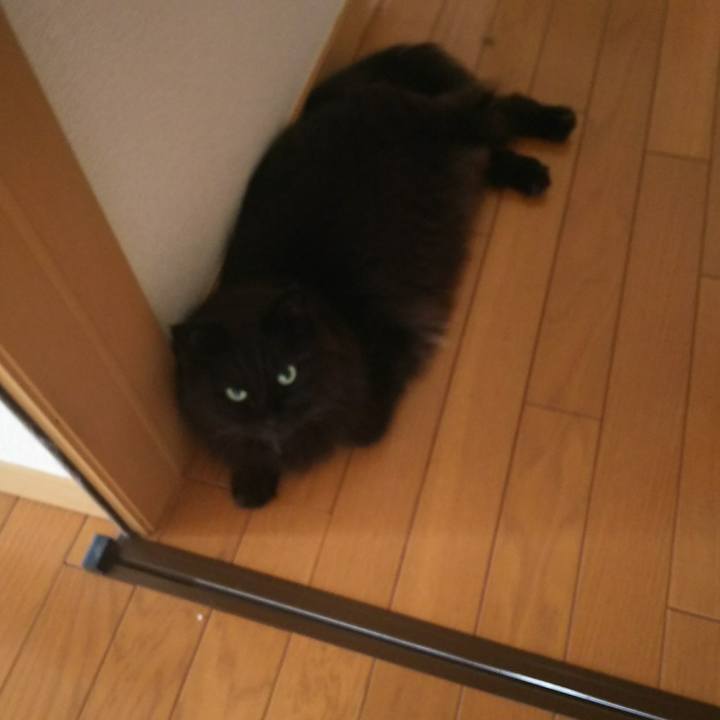 D60535c4 8470 4ebe 9e5d 0548c2c9da32 1530140143469