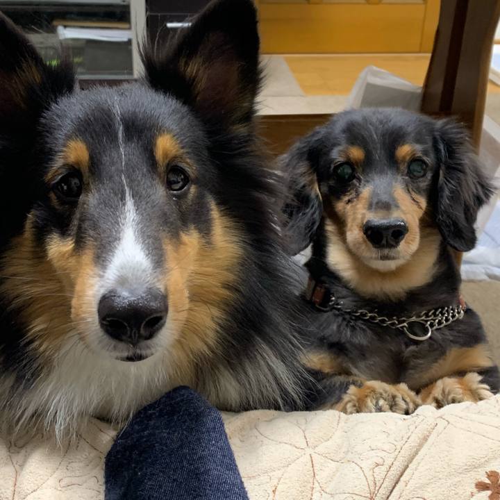 D6053f56 ec59 417b aaee 65cc431a9d56 1573767316033