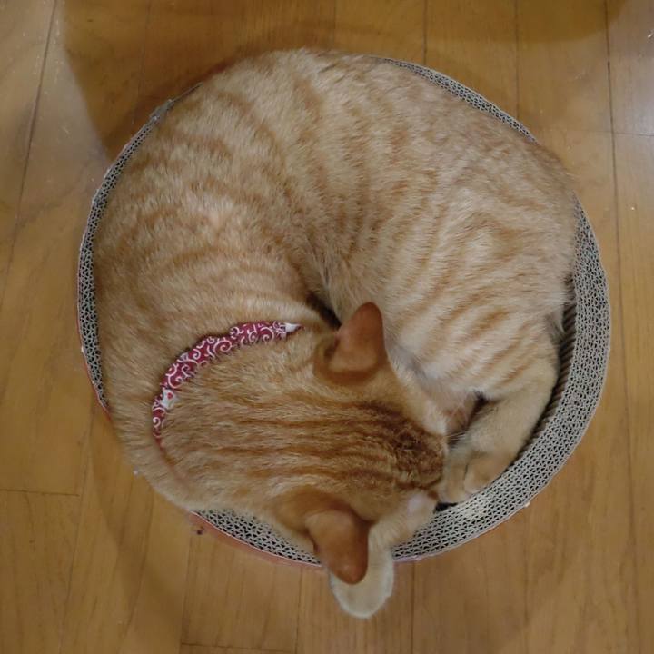 D605647a 0ce9 40af b365 4956cf8fb8da 1632312883137