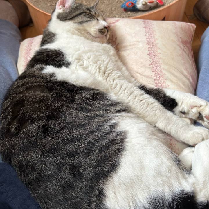 D6059b8c 9890 40ea 872a 1d2e1dd2c84a 1760438499748