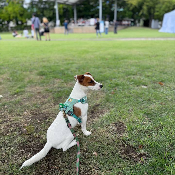 D605b276 b52f 4aac a3e1 3baa525b4716 1757759479599