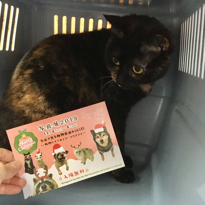 D605e879 8ab1 46e0 89d8 d8943b60caed 1574848519921