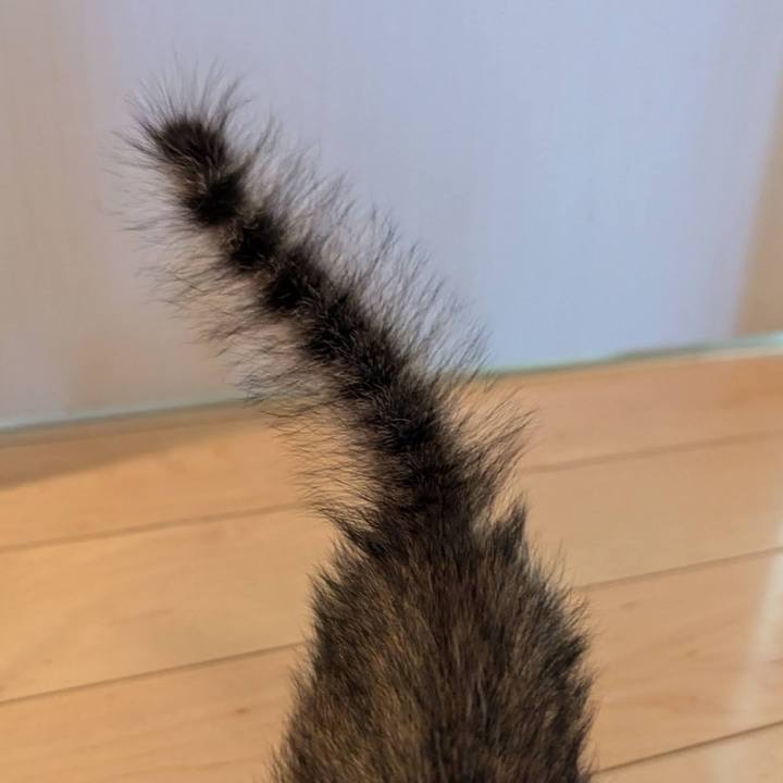 D60622e6 f651 4c9f 84f4 fb0d2962a963 1726623376177