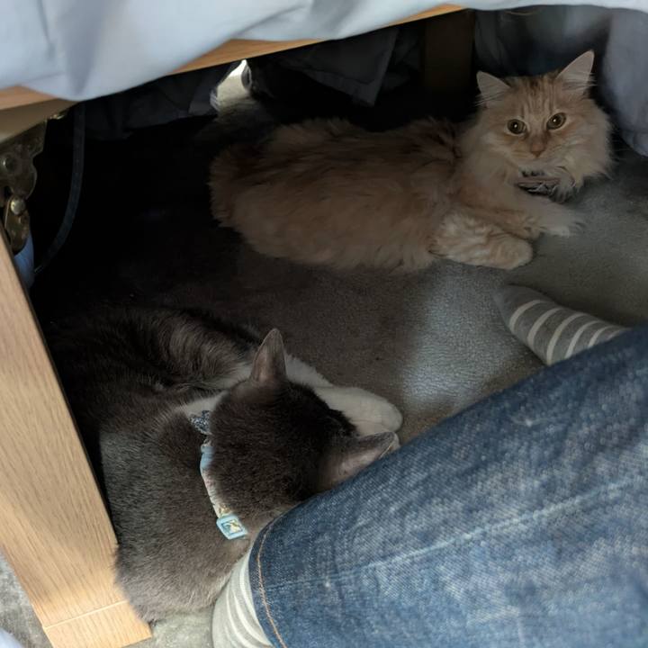 D6063101 24d5 4875 b90b 80979f93708e 1743311054199