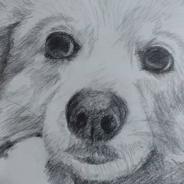 D60657f9 f2a1 4cbb a52d 5324478fc01e 1665015420489