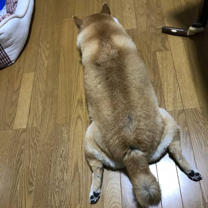 D6067d19 c548 43b2 b805 f3e38be324fa 1528762117736