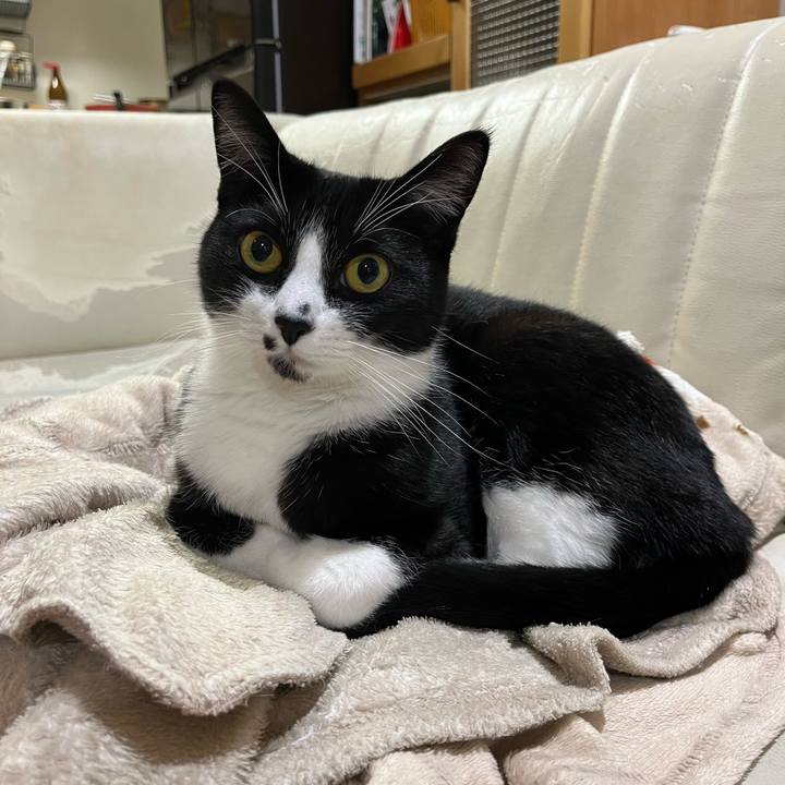 D6070026 3de8 4959 82f8 ecb3ab567a3c 1702713974532