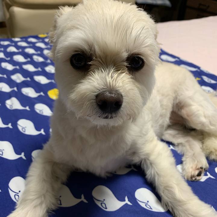 D607039d d8a8 4391 a953 4dfde0a21dcd 1623848653702