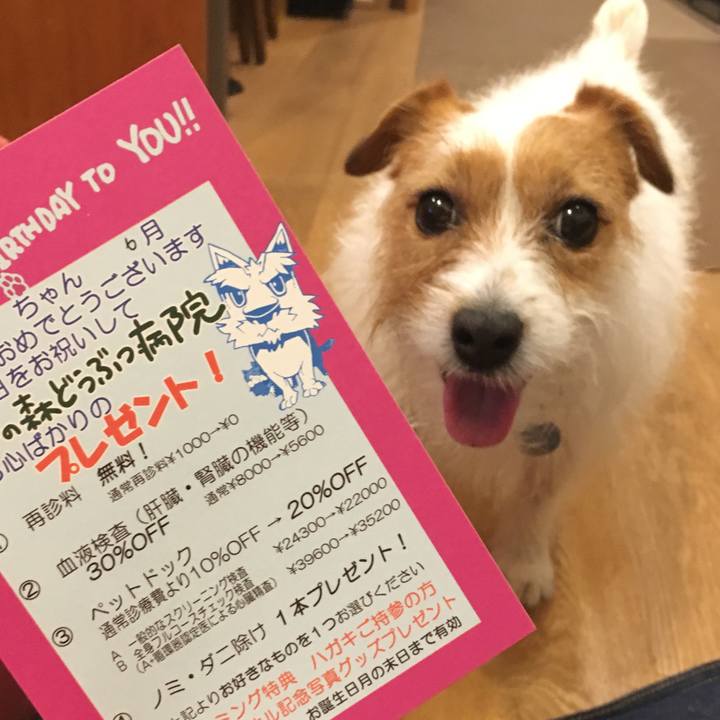 D6071de6 5606 4d24 ae31 209f7d0bfb2c 1526389251954