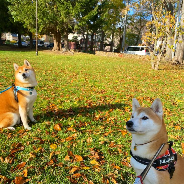 D60757ce c6d0 49bf ace3 263ee8d42577 1604451129487