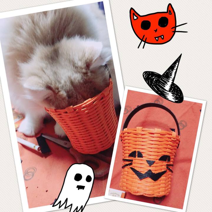 D60797e0 4371 435d a709 7bc308ca0418 1508816559901