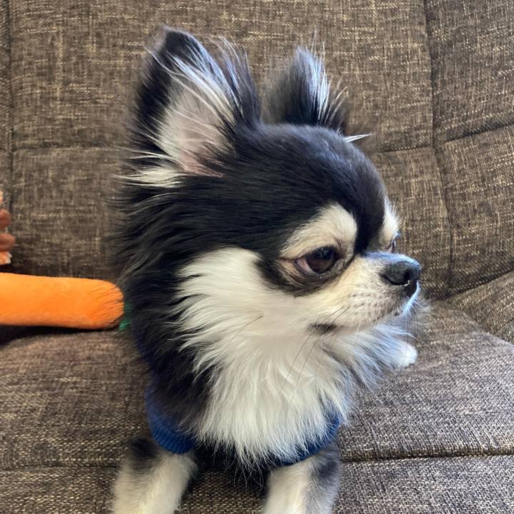 D6079bff 8531 4ad5 aef9 a31781cbc2ce 1701600569501