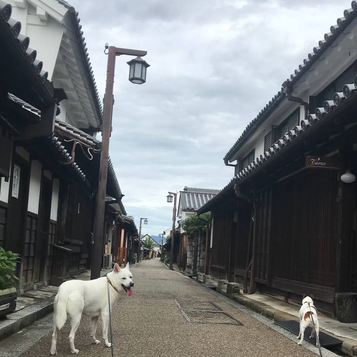 D607a7ab eb54 4d5e ac41 7d812dc67cdf 1531010698626