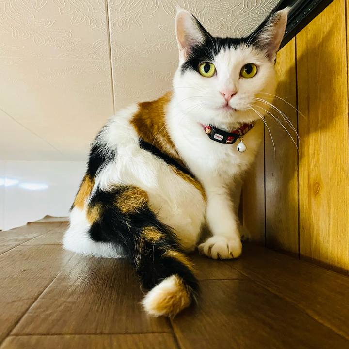 D607af32 e6c0 4526 b24e 17fef9b267ae 1660904862193