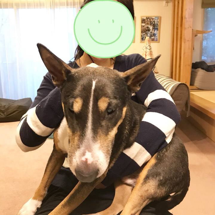 D607cfe5 4a9b 4608 ba25 af84ad02b81f 1516785166981