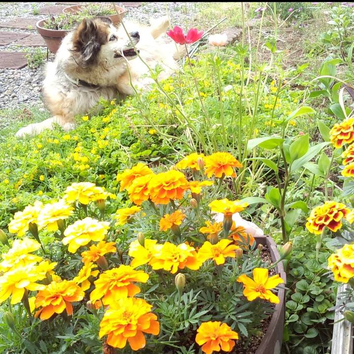 D607f7fa 7ff1 40c6 a821 58960f4f1d6d 1644440354176