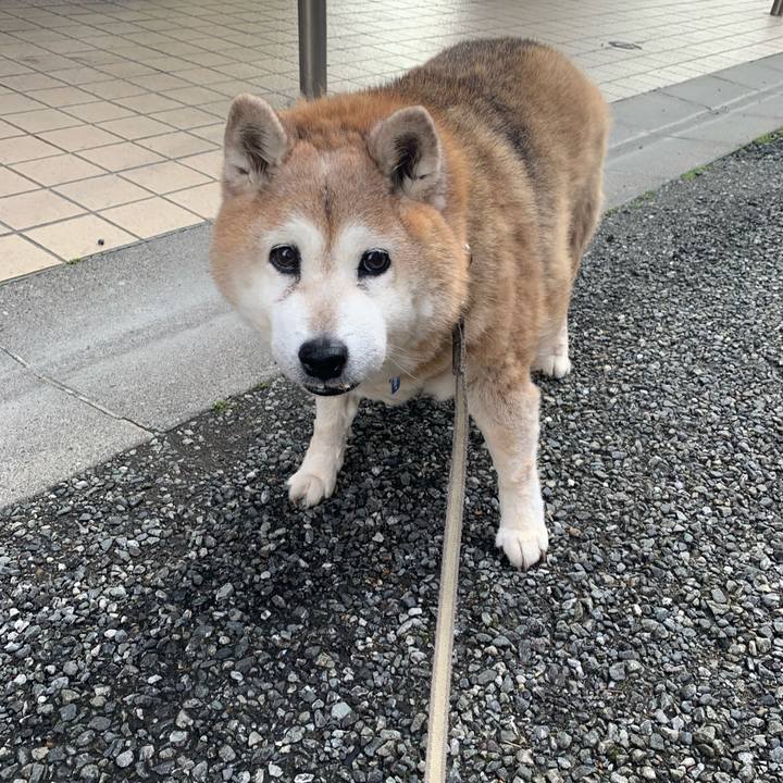 D6080ba4 2e81 4d8f a9a8 946faa5012e6 1652828588999