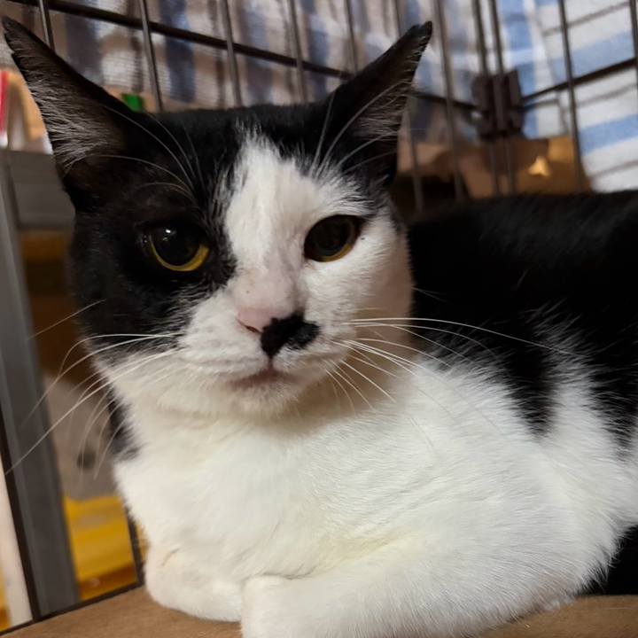 D6082dc7 de5f 49db 98c8 5abfcade07f7 1770435411327