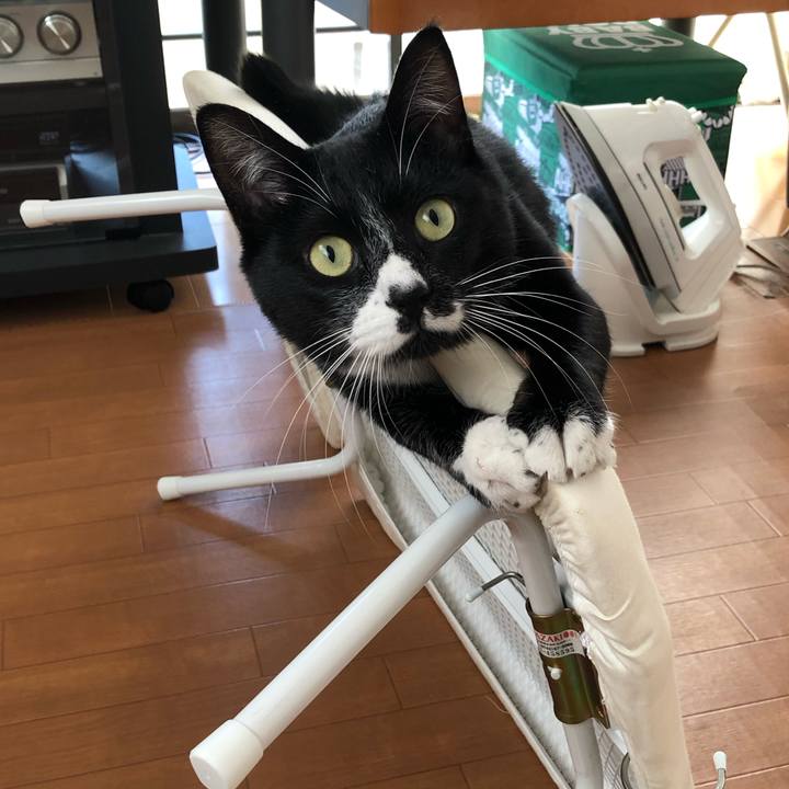 D608b7ba 5620 470e 9c8e f3300dce73be 1543731960691