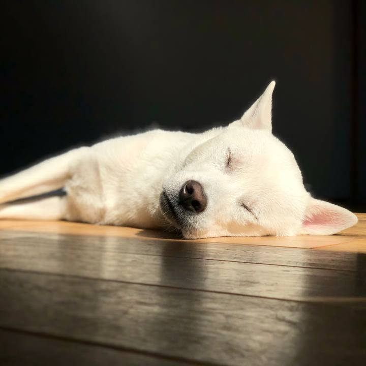 D608c1dc fa94 451c 828e f4e03cedddc4 1548238682513