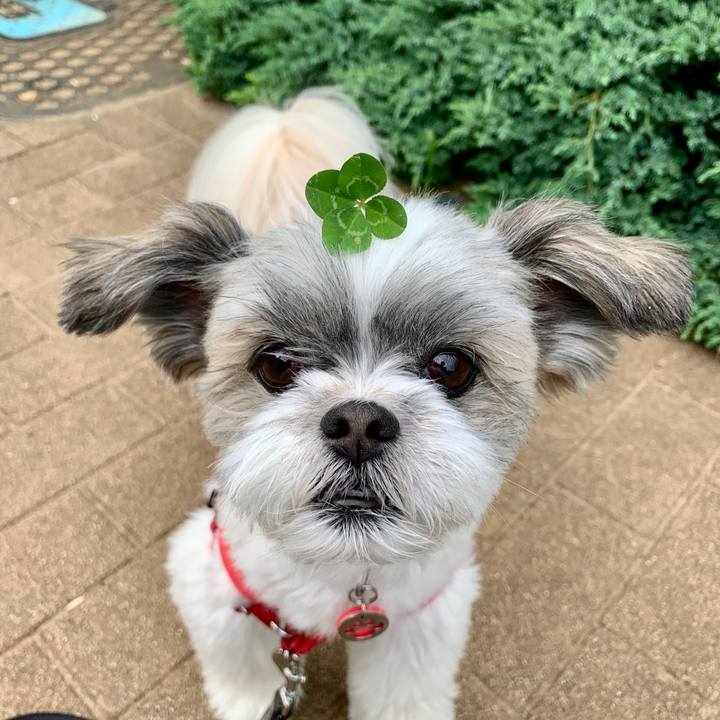 D60906a6 79fb 4237 bbc3 7dd601821a65 1724379798011