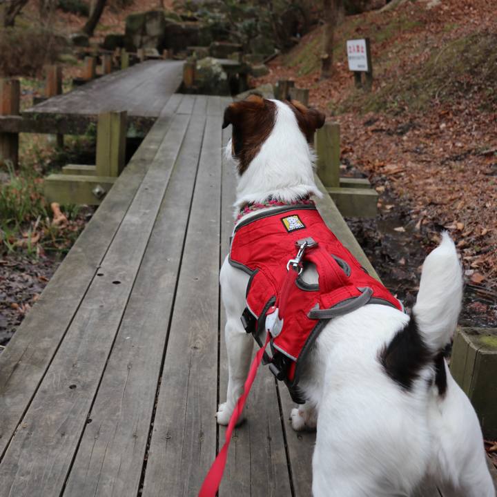 D6091d0c 75b7 4db8 a60f ab98cae31aab 1517106496373