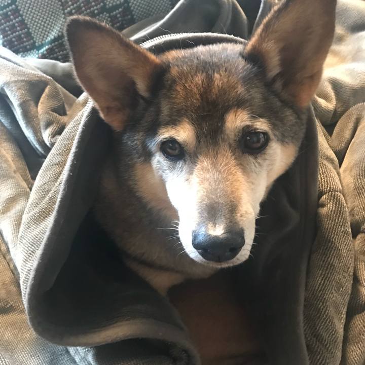 D6092ef1 6bc6 4354 bab2 e28ff6aa0453 1560254497765