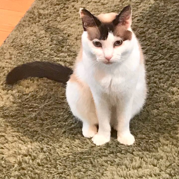 D6096dd4 dc5a 46d0 b29b f5b552e853be 1560930731413