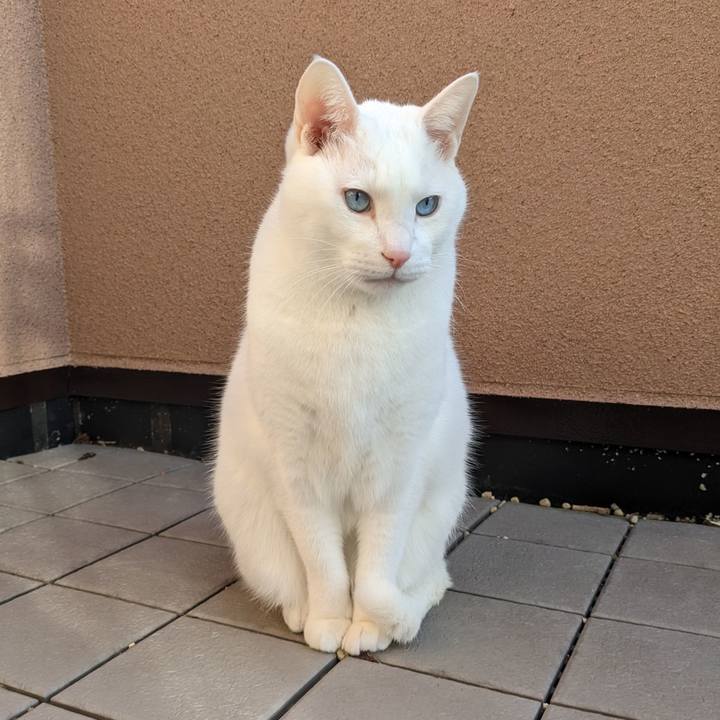 D60978c1 70bf 4d45 8091 338b8da33b1d 1674283752721