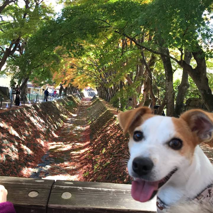 D609a046 e87b 4fe8 8074 43af103f5b79 1605092511900