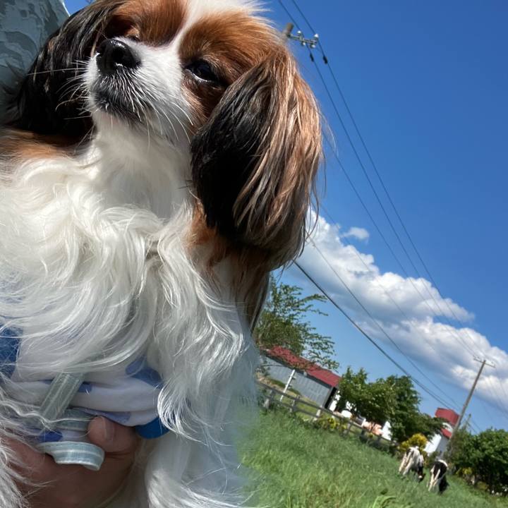 D609d77f 68c1 4a79 b31d 3e6bc08c74af 1749370699617