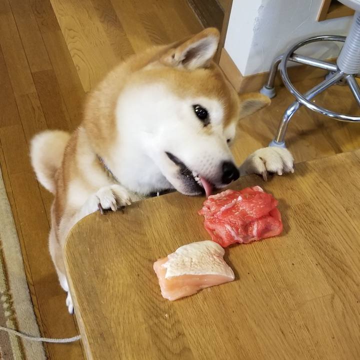 D609e067 445c 49df bccf 9a4f5e8e1daf 1571628163693