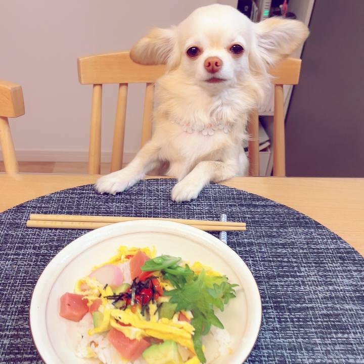 D60a1be9 5acb 4068 a1f6 a7fbea217057 1705229073657