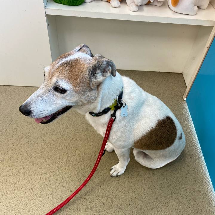 D60a216a 4a53 4b1f 9c70 3f6b08d26d02 1599363117462