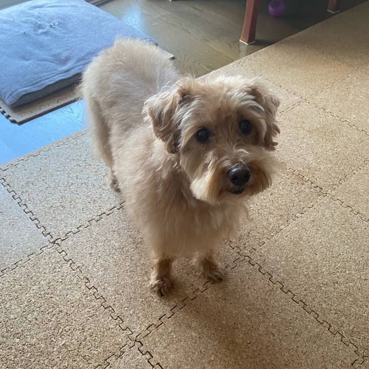 D60a5314 dfb9 4027 8fcf 81168e89d2f2 1707609786028