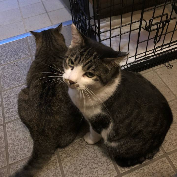 D60a6124 81ea 48d2 908e 3f162a309954 1539341623971