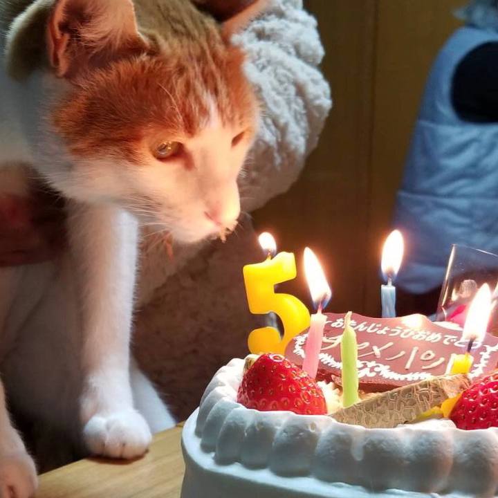 D60a6cf6 af19 4543 b39d 3a8bff230597 1517827855824