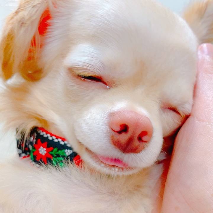 D60a8ede d841 450c bf89 d0e9f6645129 1633745799675