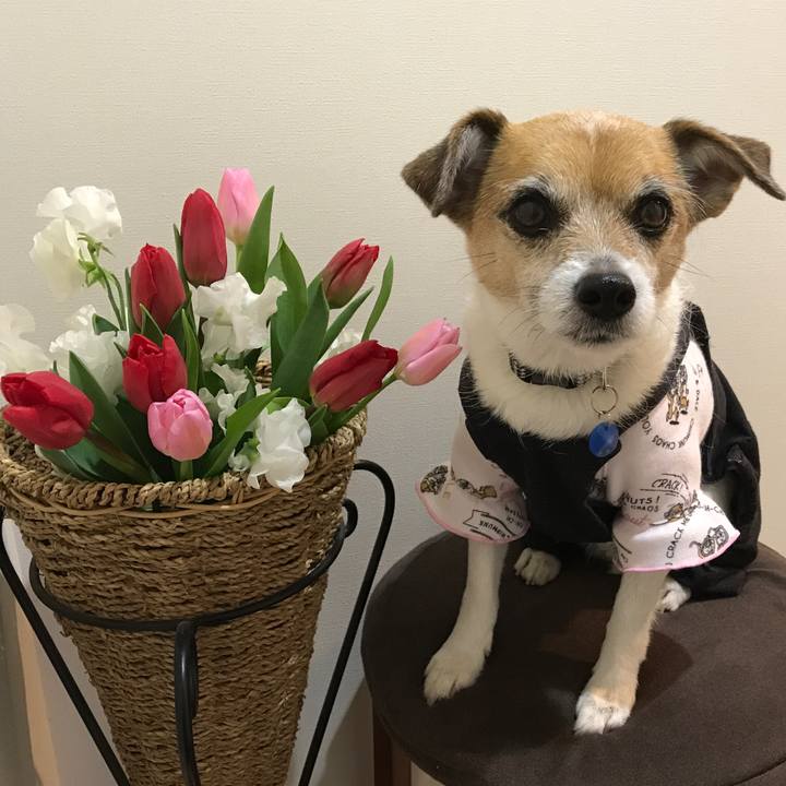 D60a9cd1 648c 4d6b 810e c5e579142583 1582279204677