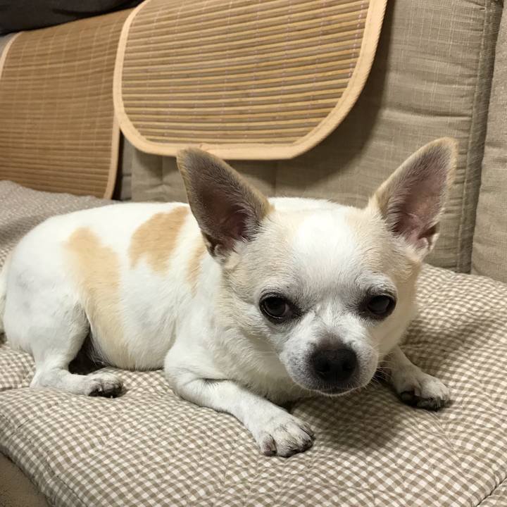 D60abc34 e7e2 4b4f 8c92 918339a1621c 1538390436095