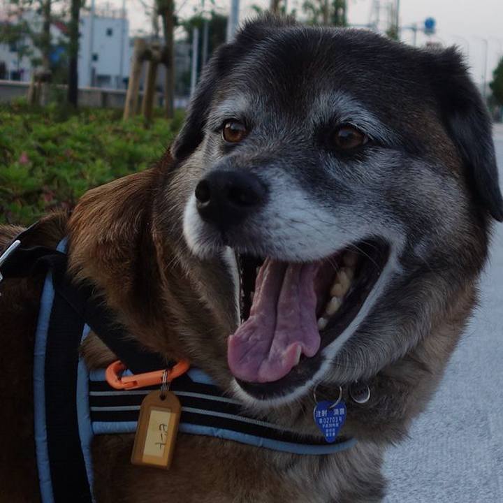 D60ad184 450a 4e22 97d3 73b8b95d7313 1638233371666